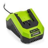 BRZI PUNJAČ FIELDMANN 20V FDUZ 79100