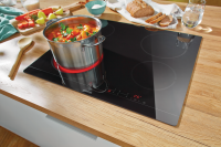 UGRADNA PLOČA GORENJE CT41 SC